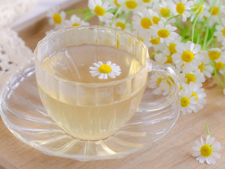 お花・ハーブ系