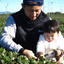 SAMURAI teafarm 牧之原山本園