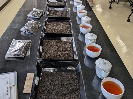 生産茶葉とカップに入れたお茶一覧