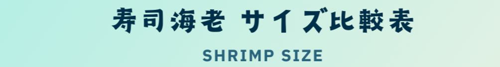 魚屋が教える！寿司海老の選び方>