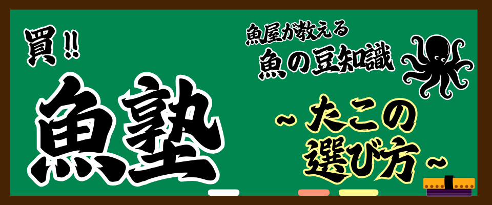 魚屋が教える魚の豆知識 買!! 魚塾　～たこの選び方