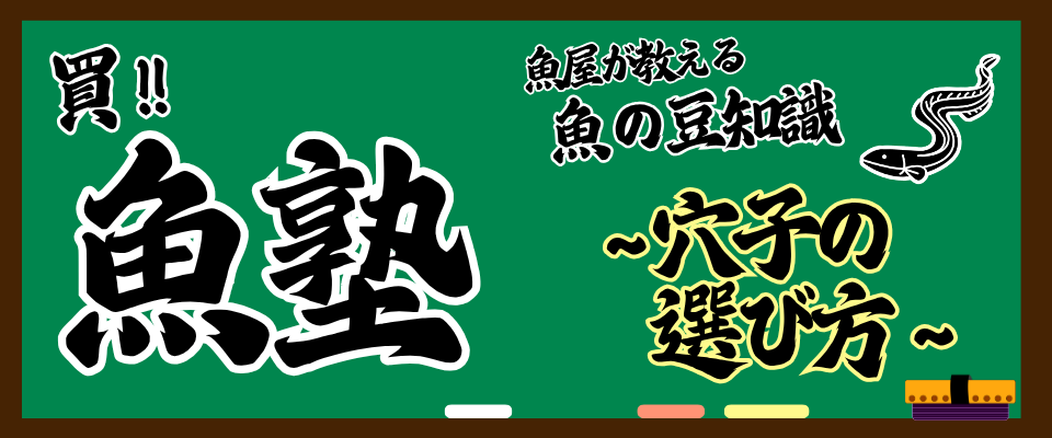 魚屋が教える魚の豆知識 買!! 魚塾　～穴子の選び方