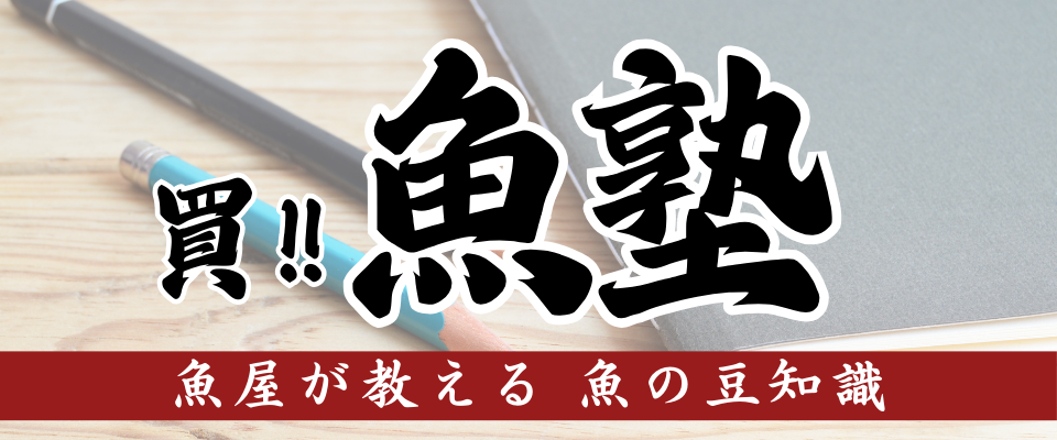 魚の豆知識 貝！魚塾