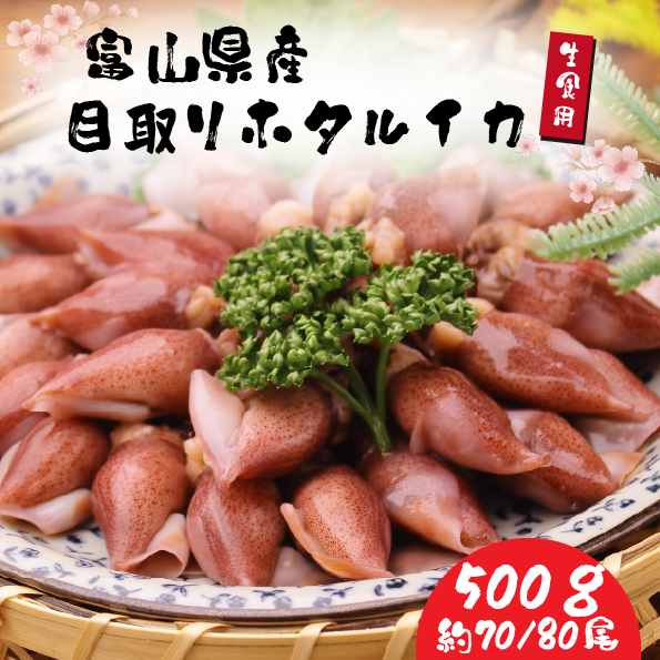 目取りホタルイカ