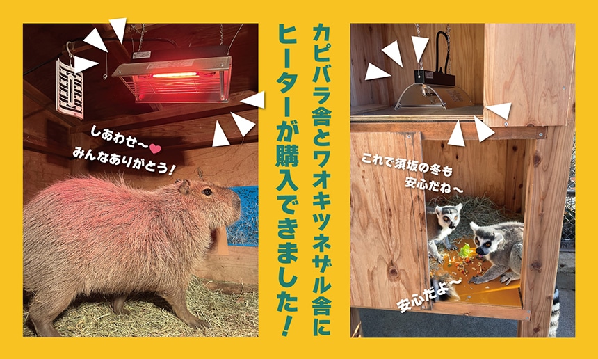 ヒーターが購入できました！