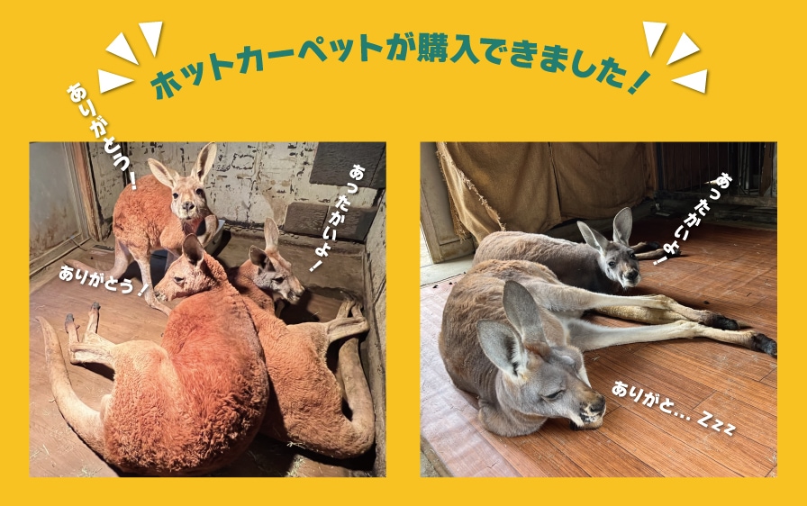 ホットカーペットが購入できました！