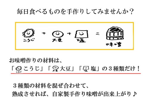カンタン！！◇有機素材使用◇味噌セット【米味噌】約５キロ出来上がり