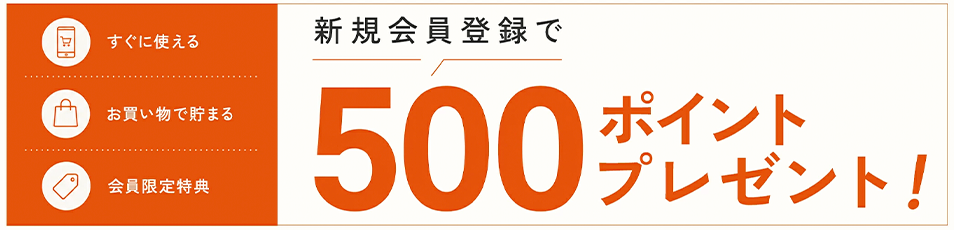 500ポイントプレゼント