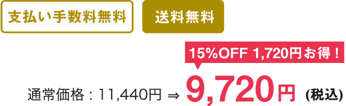 支払い手数料無料 送料無料 通常価格 : 11,440円を15%OFFで1,720円お得！9,720円(税込)