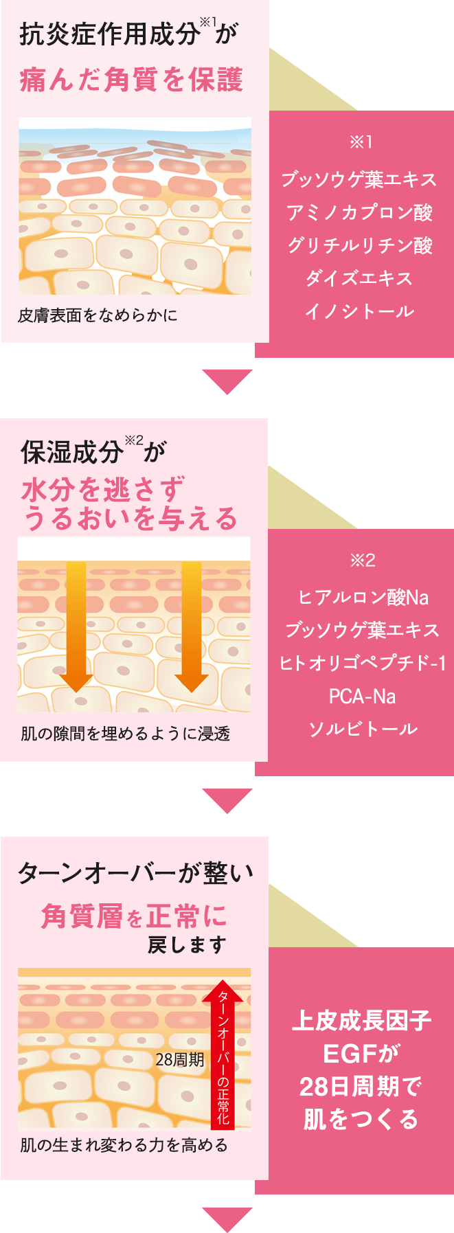 抗炎症作用成分が痛んだ角質を保護 保湿成分が水分を逃さずうるおいを与える ターンオーバーが整い角質層を正常に戻します