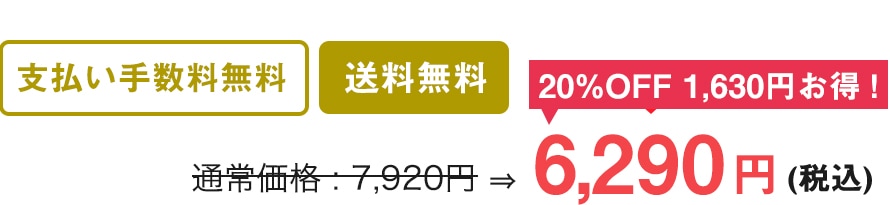 支払い手数料無料 送料500円 通常価格7,920円を20%OFF1,630円もお得！6,290円(税込)