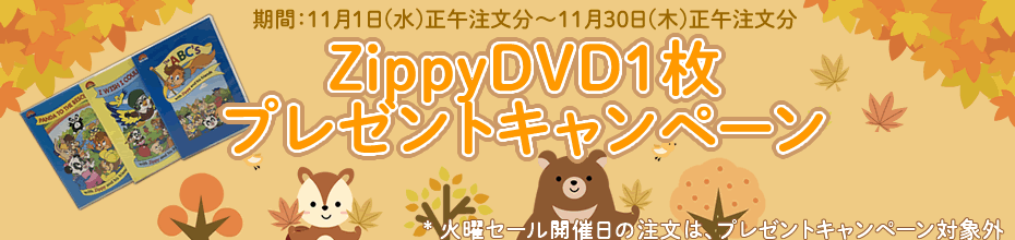 DWE フルセット　2019年11月購入　MTDSGAQ