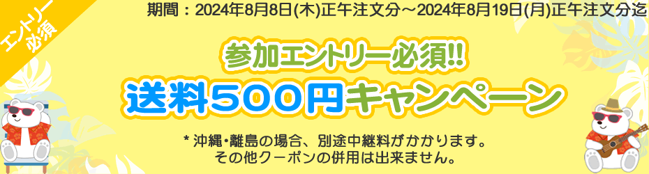 最新版 シングアロングセット ブルーレイ クリーニング済 2021年購入 未開封多 DWE ディズニー英語システム  【20240704626】｜Swing Kids