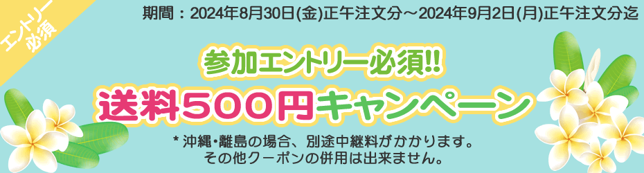 最新シングアロングセット ブルーレイ クリーニング済 2021年購入 新品同様多 DWE ディズニー英語システム ワールドファミリー【20240804326】｜Swing  Kids