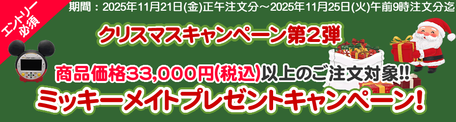 リクエスト２点 シングアロング ＆メインプログラム ディズニー英語システム シングアロング 1～4巻+Orientationセット DWE