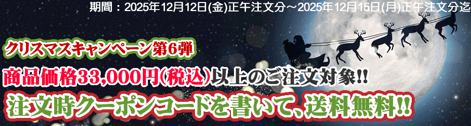 トークアロング・Q&Aカード｜ディズニー英語システム中古販売（DWE）の