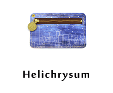 Helichrysum（ヘリクリサム）
