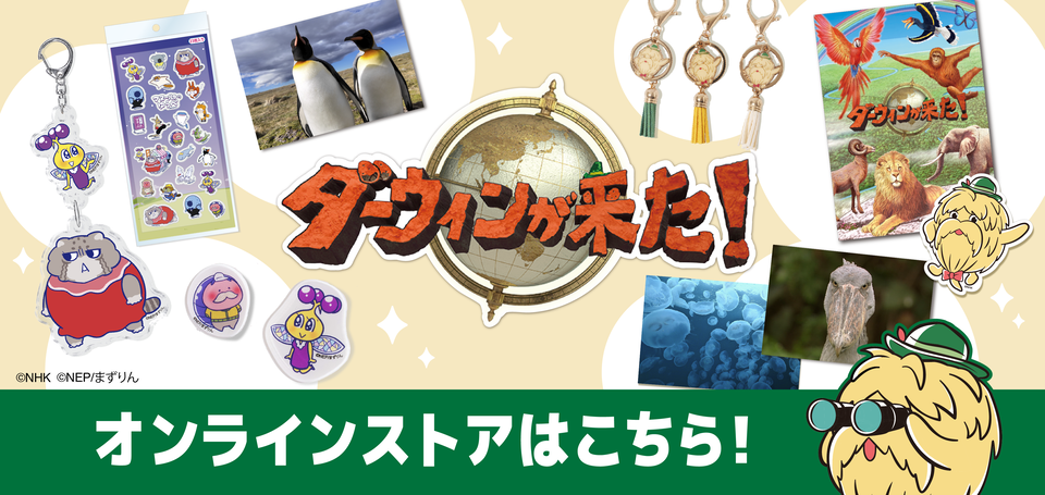 ダーウィンが来た！