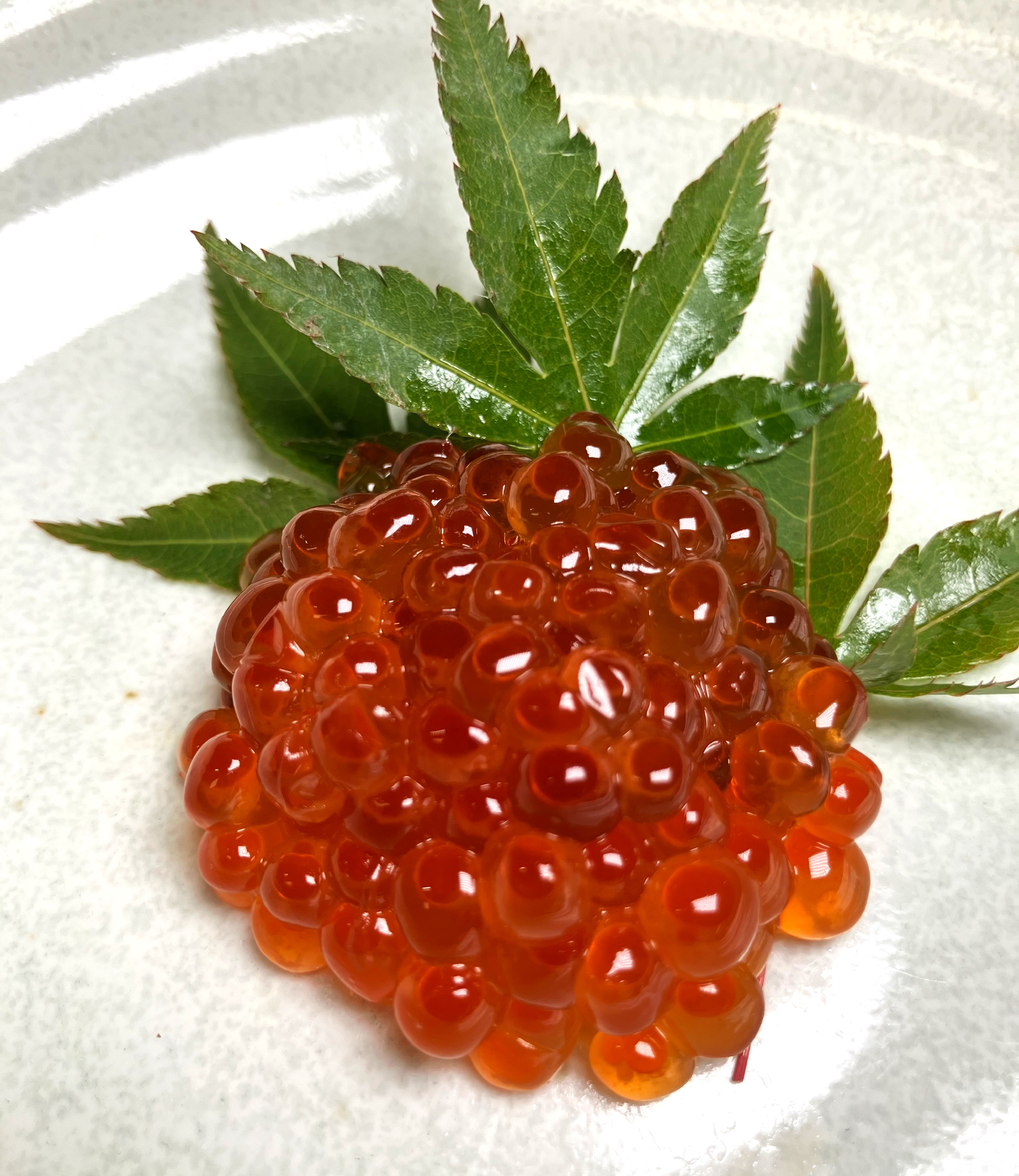 予約受付を終了いたしました】松竹梅白壁蔵＜大吟醸＞袋吊り斗瓶取り無