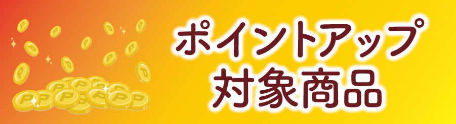 �ݥ���ȥ��å�