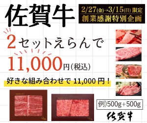 PC�ѤΥե����ƥ��󥰥Хʡ�