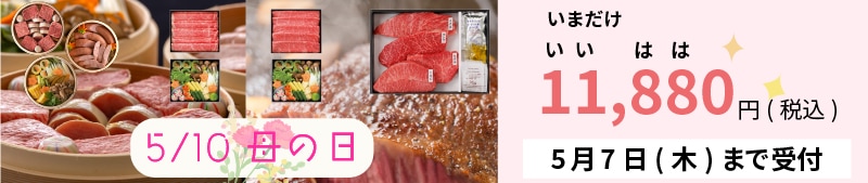 ���ޥ��ѤΥե����ƥ��󥰥Хʡ�