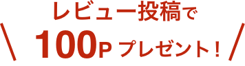 レビュー投稿で100Pプレゼント!