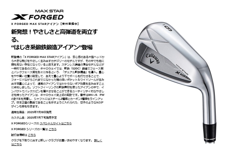 2025 キャロウェイ X フォージド MAX STAR アイアン(単品/#5) N.S.PRO