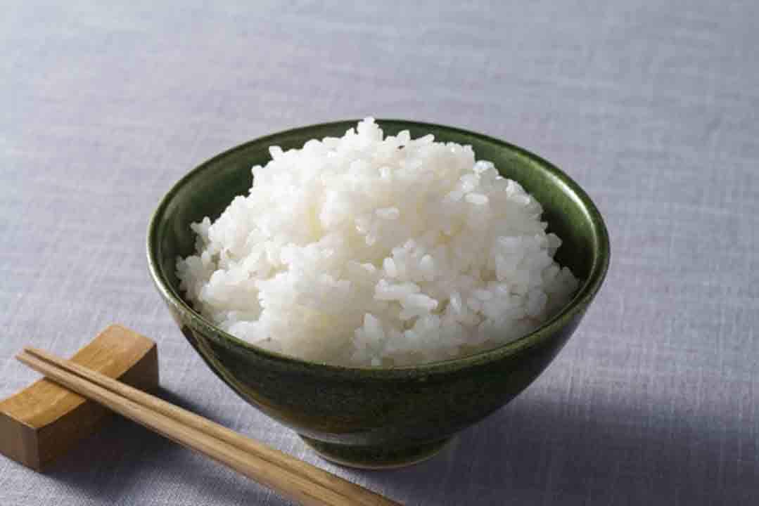 精米】5kg 令和3年産 特別栽培米コシヒカリ多古米（精米）5kg｜生産者