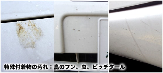 鳥の糞、虫の汚れ、ピッチタール汚れ（車の写真）