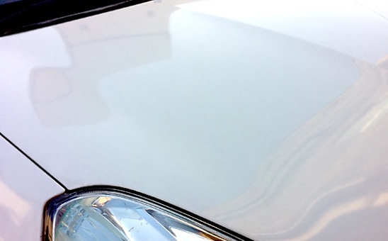 ボディチェック：白色の車のボンネット