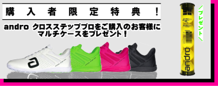 アンドロマルチケースプレゼント