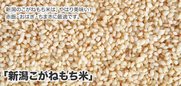 新潟県産こがねもち米1kg | お餅 | 宅配トマト