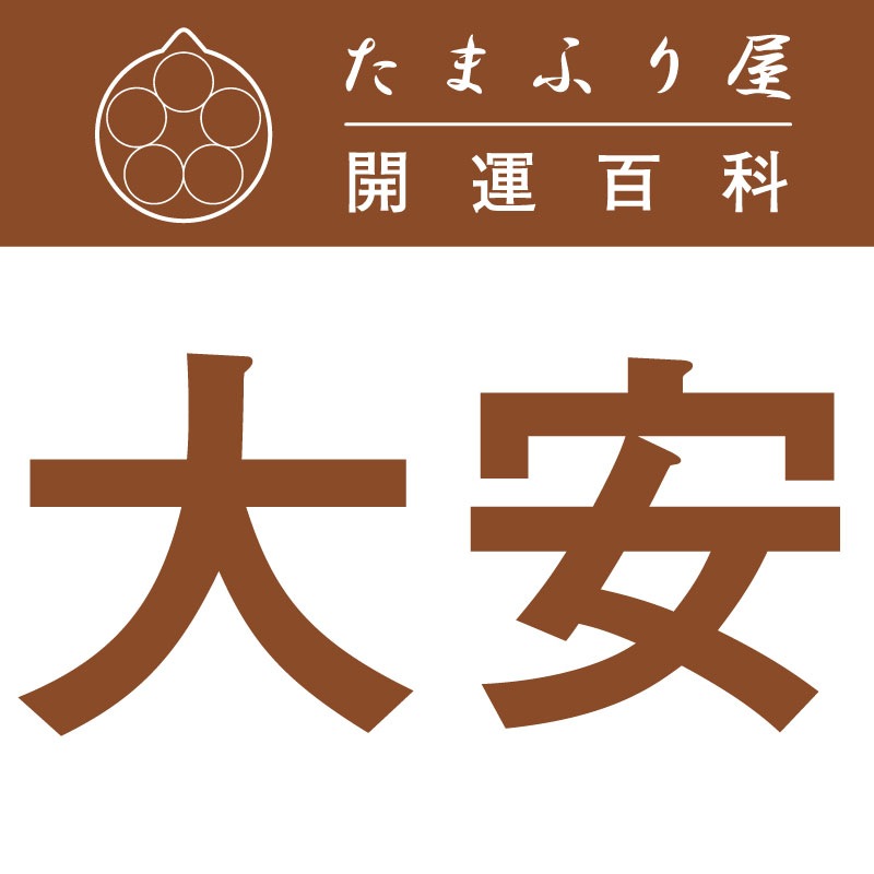 ��� (��������) |�������� �������å�