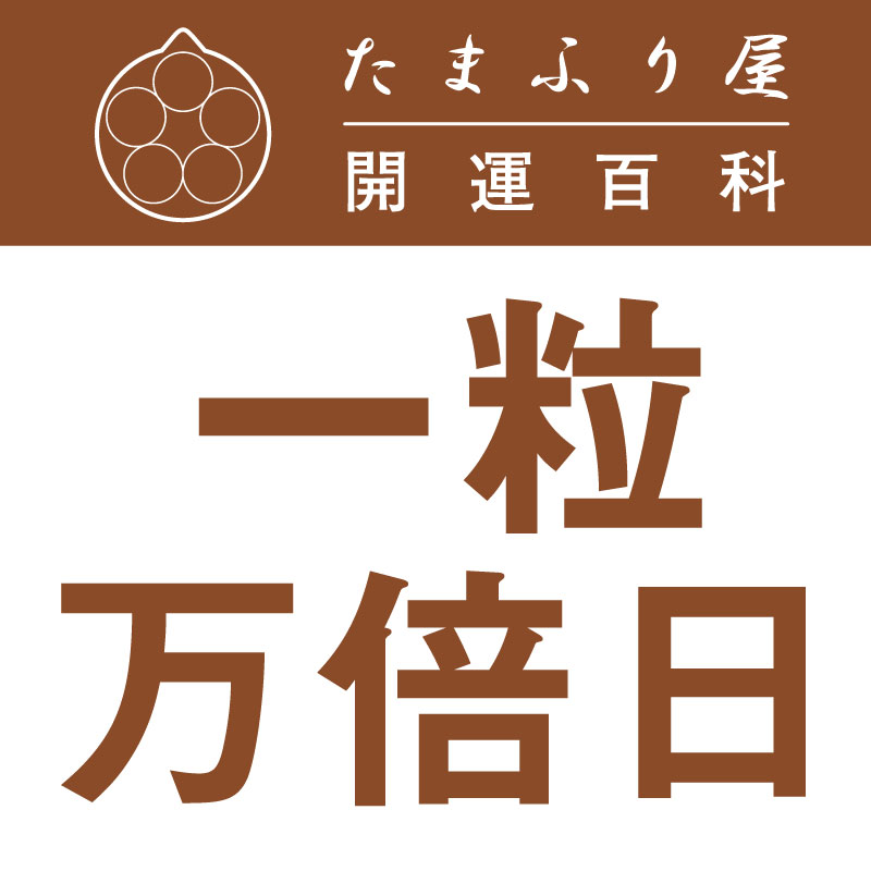 ��γ������(������夦�ޤ�Ф��ˤ�) |�������� �������å�