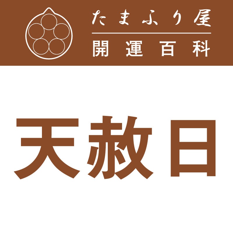 ŷ����(�Ƥ󤷤�ˤ�) |�������� �������å�