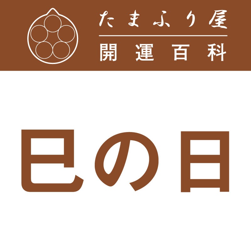 ̦����(�ߤΤ�) |�������� �������å�