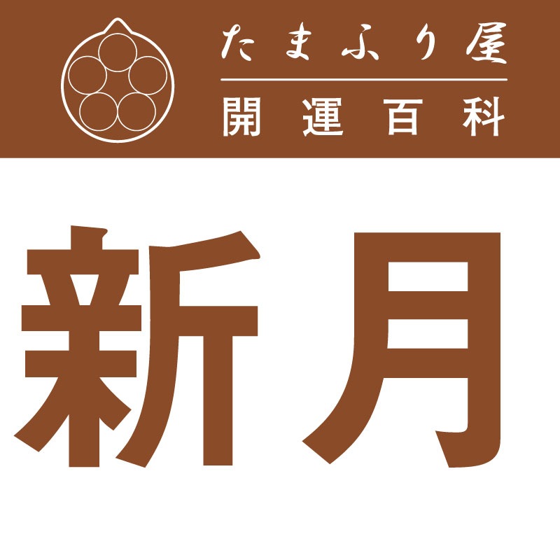 ����(���󤲤� |�������� �������å�