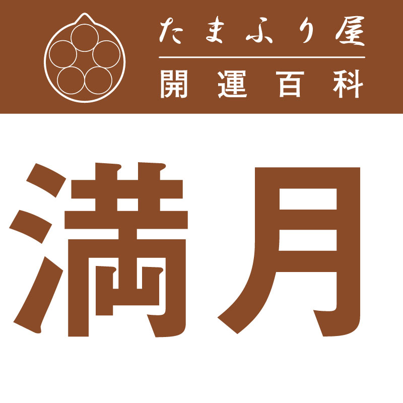 ����(�ޤ󤲤�) |�������� �������å�