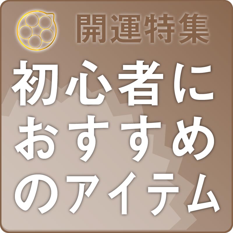 �ý����鿴�Ԥؤ�������γ��������ƥ� �������å�