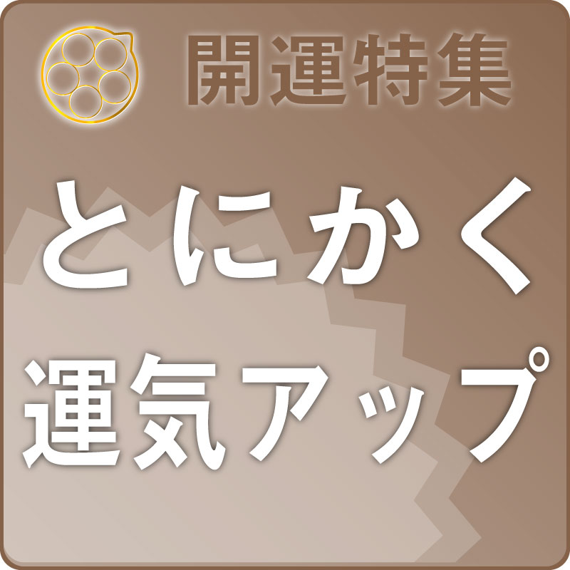 �ý����Ȥˤ����������åפ������� �������å�