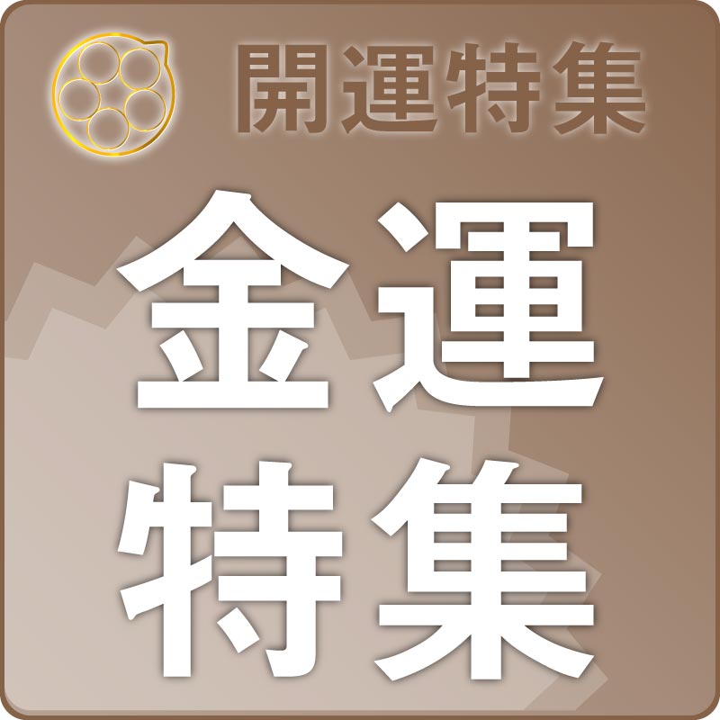 �ý����Ɀ���å��ý� �������å�