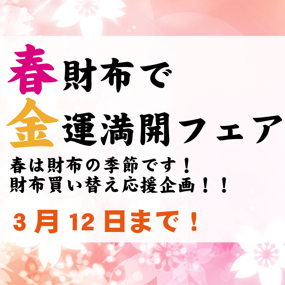 �ý����պ��ۥե����������� �������å�