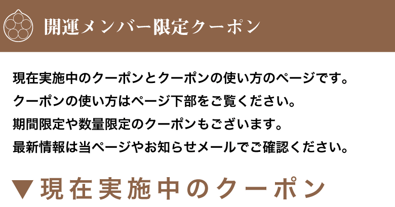 売り廉価 【毎月限定】開運風水お守り白龍神梵字祈祷塩高次元全体運