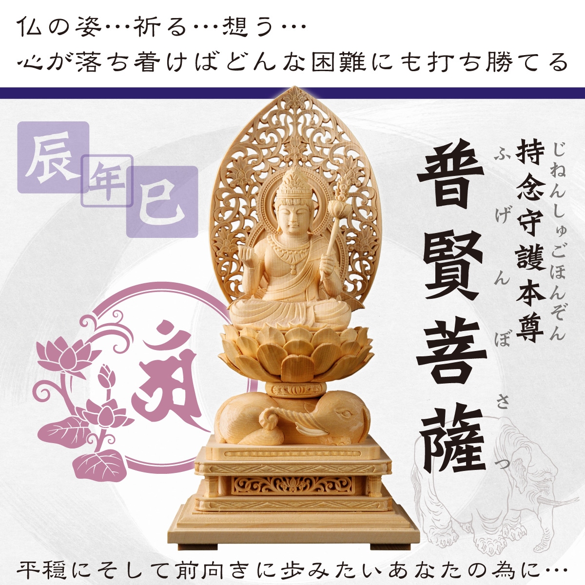 �ܳ���Ħ������º�� �ḭ� �䡡��Ħ��/�ҥΥ�����/��������λ�ǰʩ�ˡ����ε���ˡ� �������å�