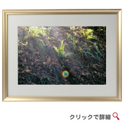 �ڴ��פμ̿��۶̶�����ͷ