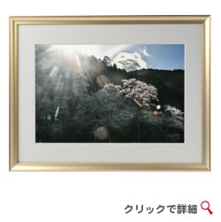 【奇跡の写真】千年の桜に山の神