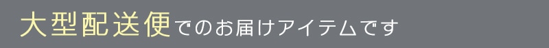 大型配送便