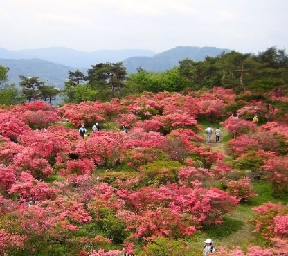 阿武隈高原の豊かな自然環境