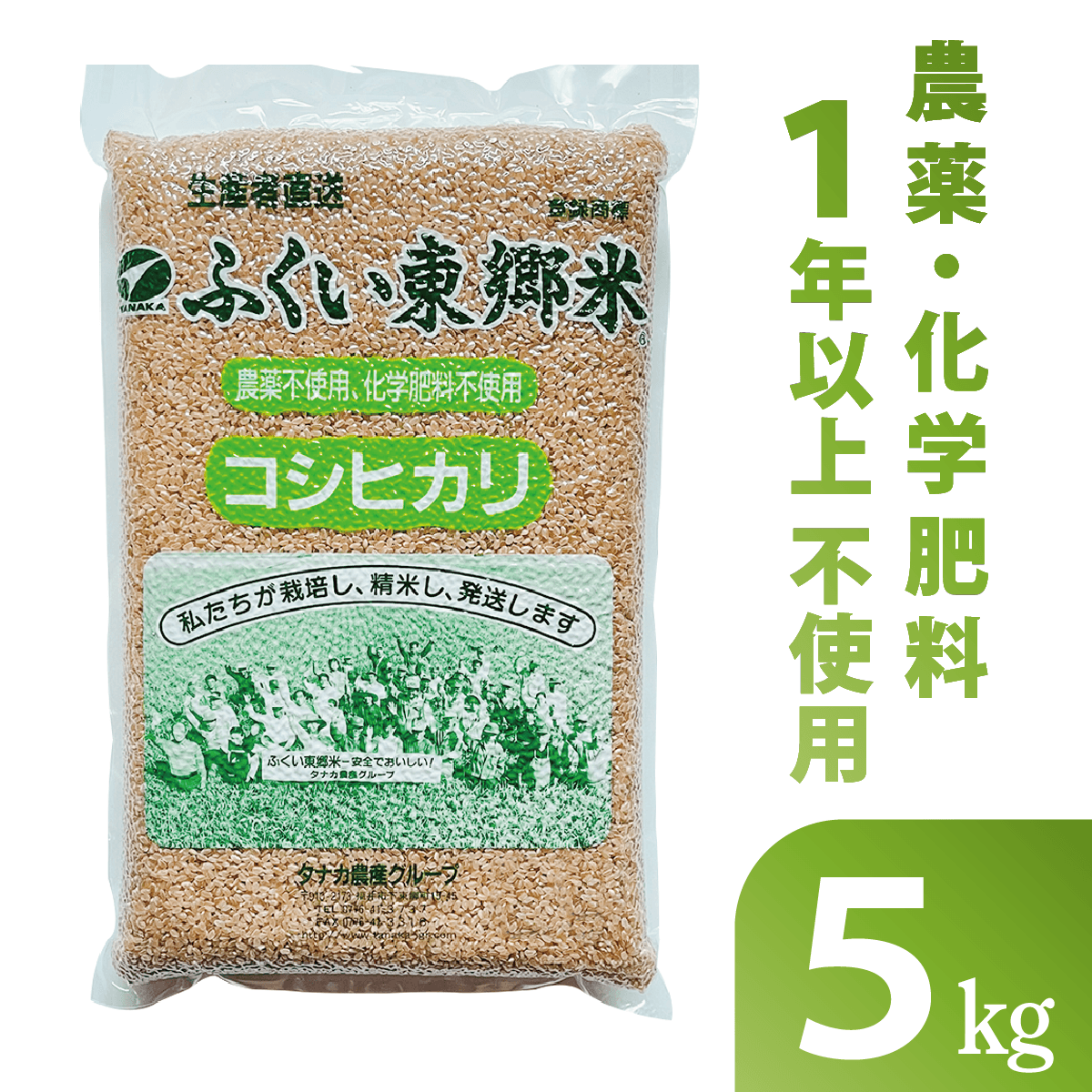 ̵���������ҥ��긼��